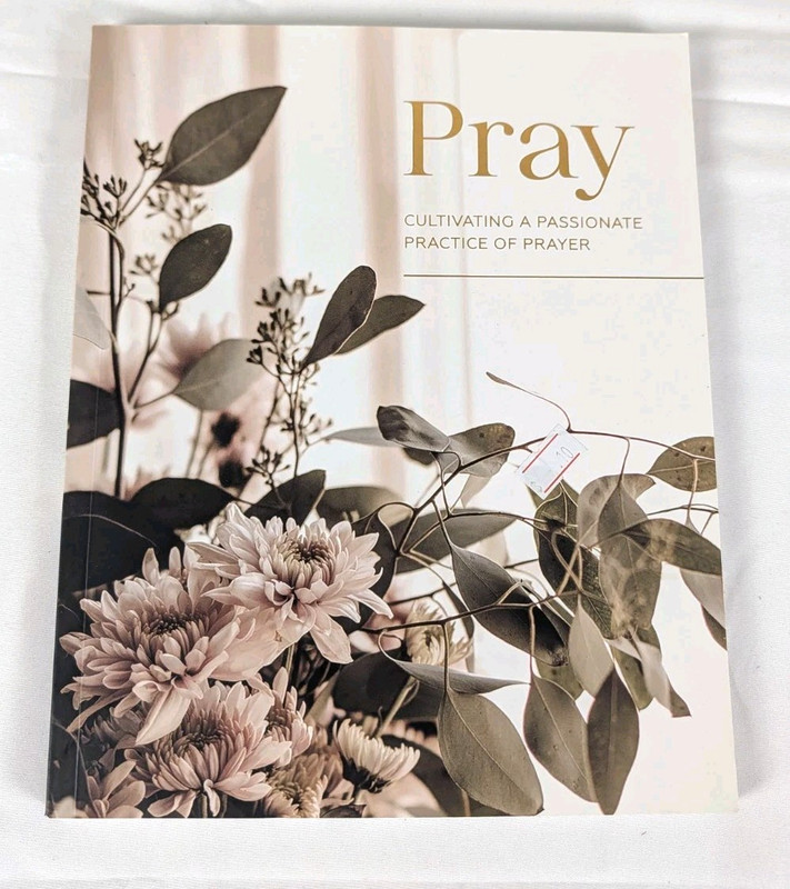 Pray Cultivating a Passionate Practice of Prayer Shelby Turner PB
