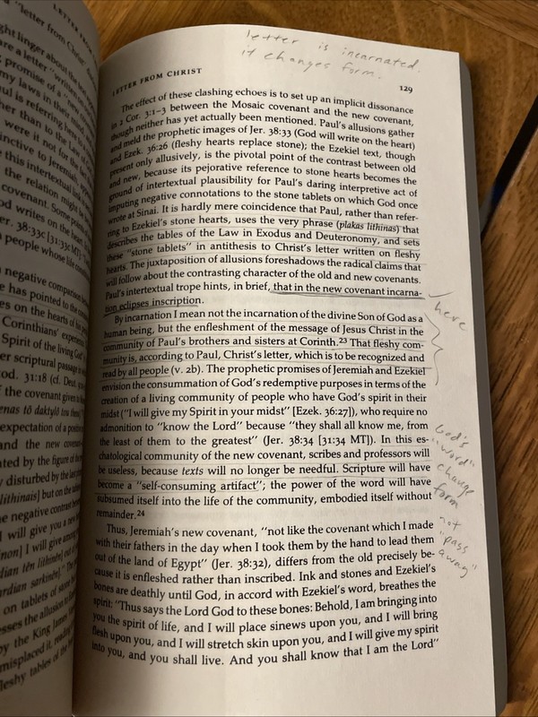 Richard B Hays: Echoes Of Scripture In The Letters Of Paul Tr Pbk Yale 1989 gallery