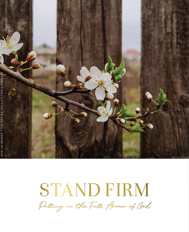 Stand Firm: Putting on the Full Armor of God – paperback The Daily Grace Co.