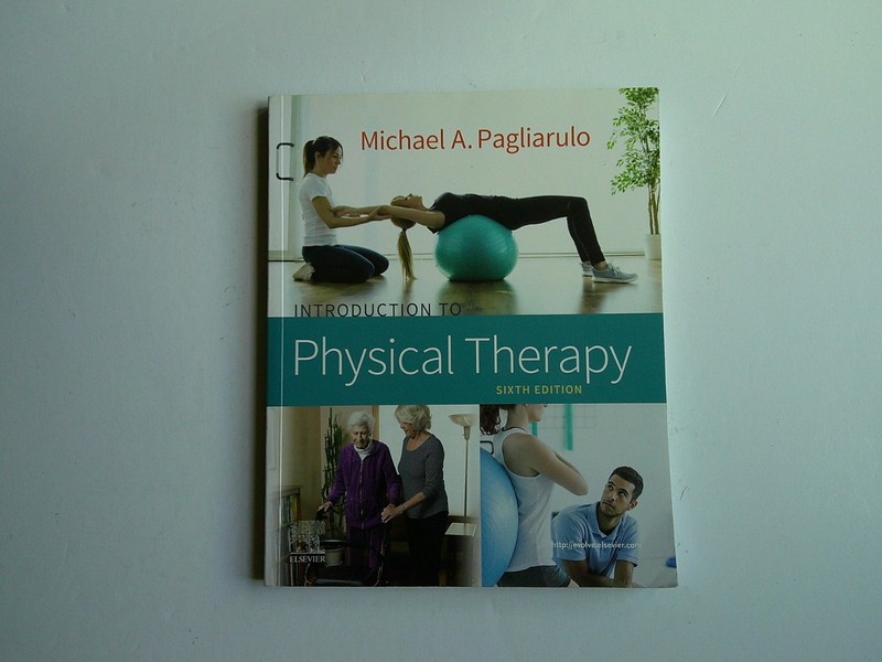 Introduction to Physical Therapy by Michael A. Pagliarulo (2020, Trade Paperback