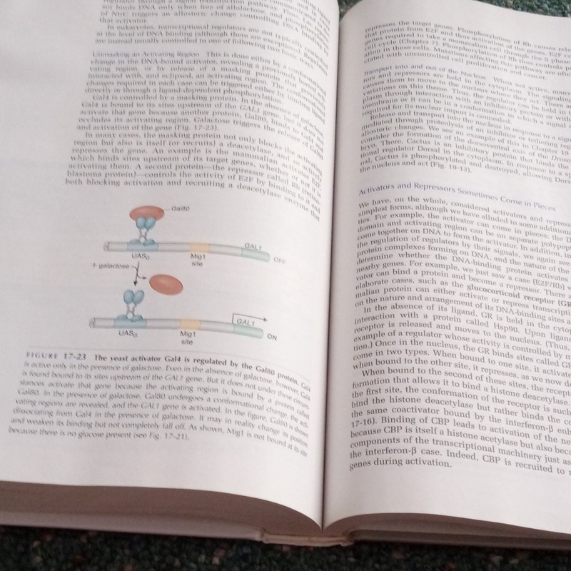 Molecular Biology of the Gene 6th Edition Hardcover Watson Baker Bell 2007 gallery