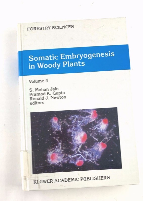 Somatic Embryogenesis in Woody Plants : Vol. 4 Forestry Sciences Textbook 1999