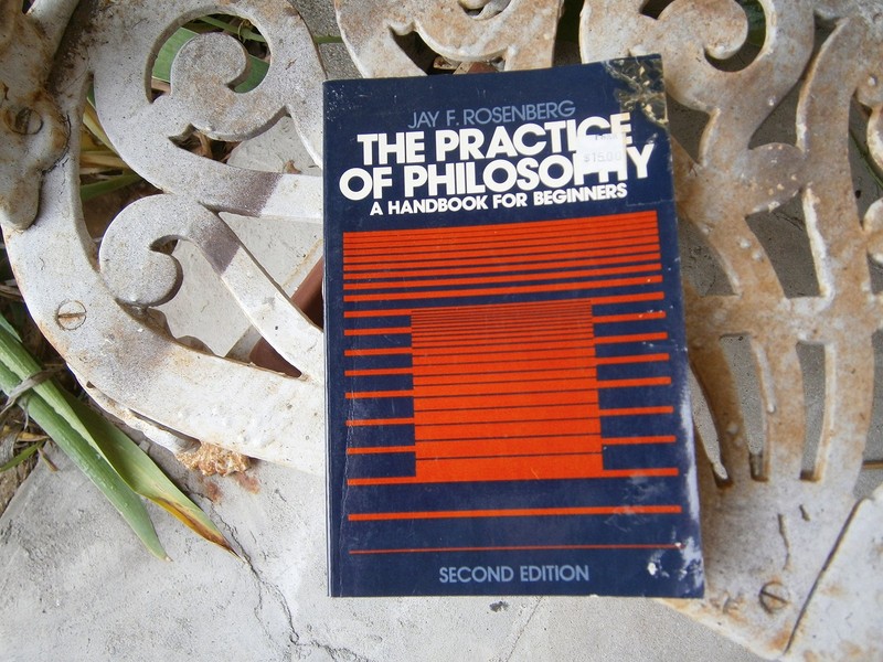 The Practice of Philosophy: A Handbook for Beginners