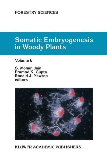 Jain – Somatic Embryogenesis in Woody Plants Volume 6 – New paperbac – X555z