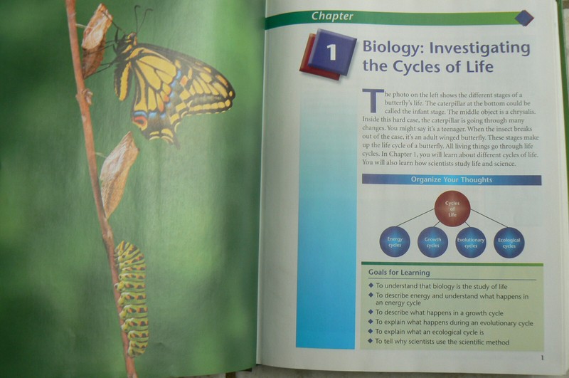 AGS Publishing BIOLOGY-Cycles of Life Student Text, 2006,Low-reading level gallery