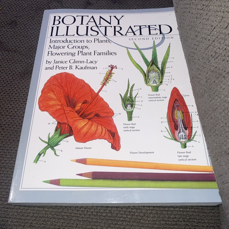 Botany Illustrated: Introduction to Plants, Major Groups, Flowering