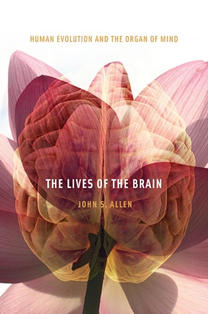 THE LIVES OF THE BRAIN HUMAN EVOLUTION by ALLEN, JOHN S. Paperback Self Help