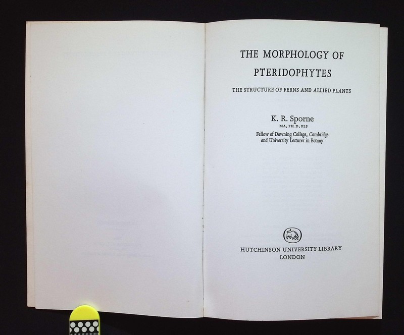 The Morphology of Pteridophytes: Structure of Ferns & Allied Plants K.R. Sporne gallery