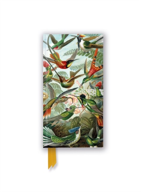 ERNST HAECKEL HUMMINGBIRDS JOURNAL by FLAME TREE STUDIO Non-book item Self Help
