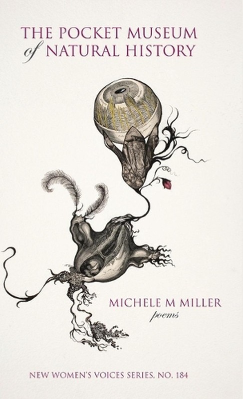 The Pocket Museum of Natural History by Michele M. Miller Hardcover Book