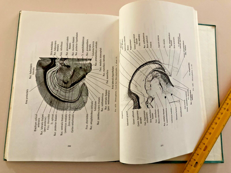 Craigie's Neuroanatomy of the Rat Hardcover Ex-Library No Dust Jacket 1963 gallery