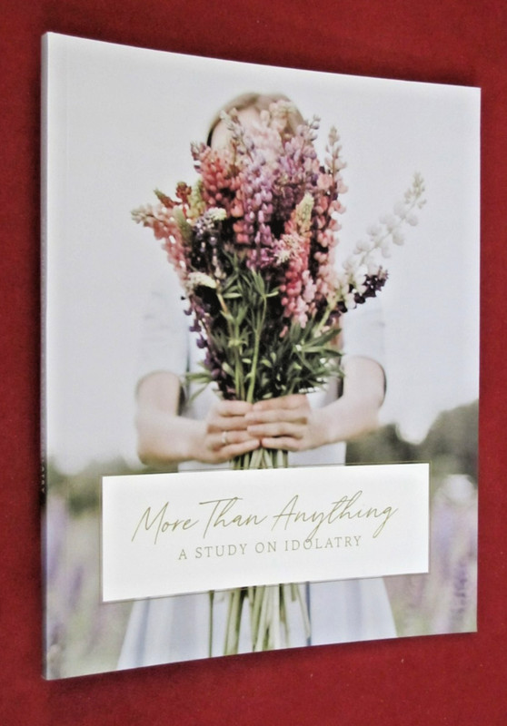More Than Anything – a Study on Idolatry by Aubrey Coleman (2021, Trade PB) NEW