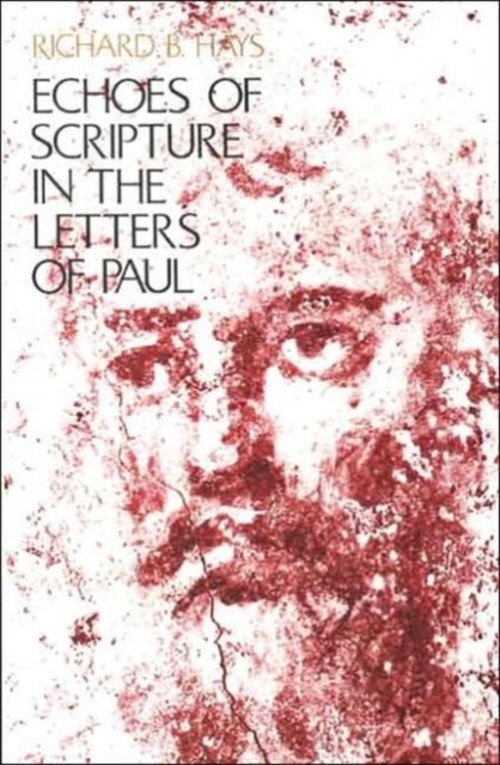 Echoes of Scripture in the Letters of Paul Paperback Richard B. H