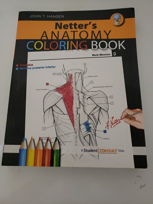 Netter Basic Science Ser.: Anatomy Coloring Book by John T. Hansen (2009, Trade