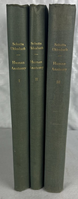 Vintage Atlas of Descriptive Human Anatomy – 3 Volume Set – HC – 1950s