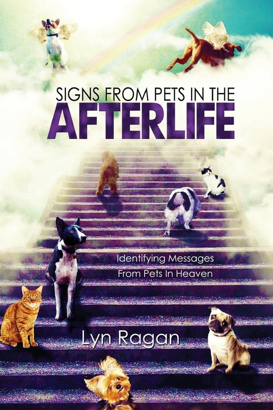 Signs From Pets In The Afterlife: Identifying Messages From Pets In Heaven -…