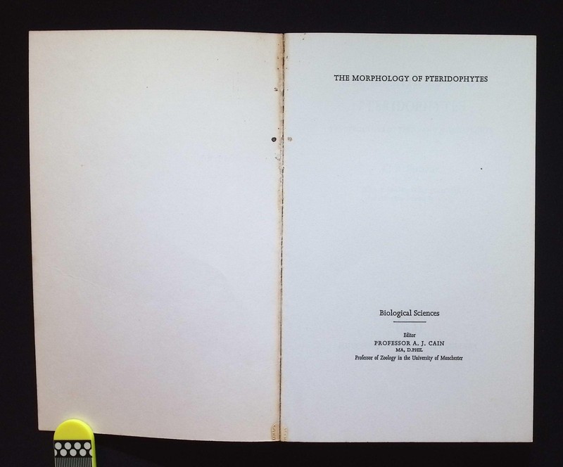 The Morphology of Pteridophytes: Structure of Ferns & Allied Plants K.R. Sporne gallery