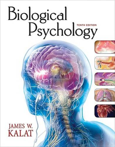 Biological Psychology – Hardcover By Kalat, James W. – VERY GOOD