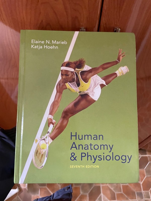My A and P Ser.: Human Anatomy and Physiology by Katja Hoehn and Elaine N….