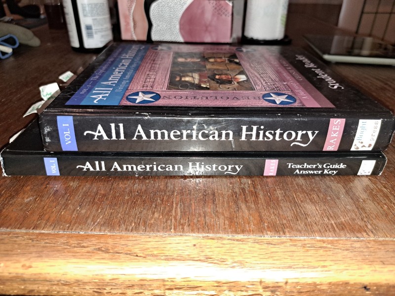 Set 2 All American History Volume 1 Celeste Rakes Bright Ideas Press homeschool gallery