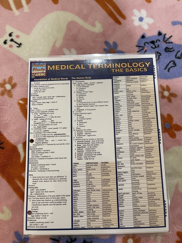 Medical Terminology: the Basics – QuickStudy Academic Laminated Reference Guide