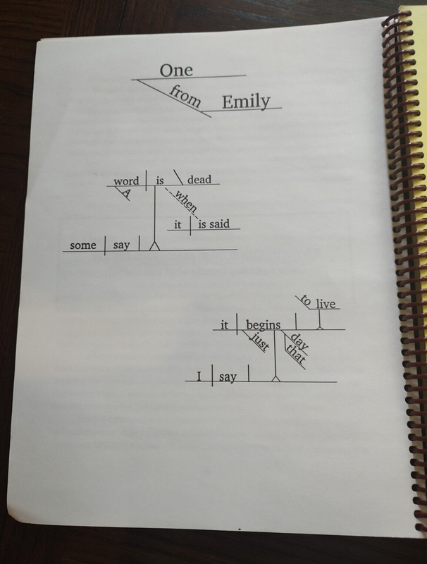 Spelling and Reading With Riggs - The Complete Book Of Diagrams by Mary Daly gallery