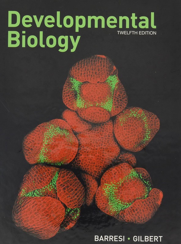 Developmental Biology – hardcover Barresi, Michael J.F.|Gilbert, Scott F.