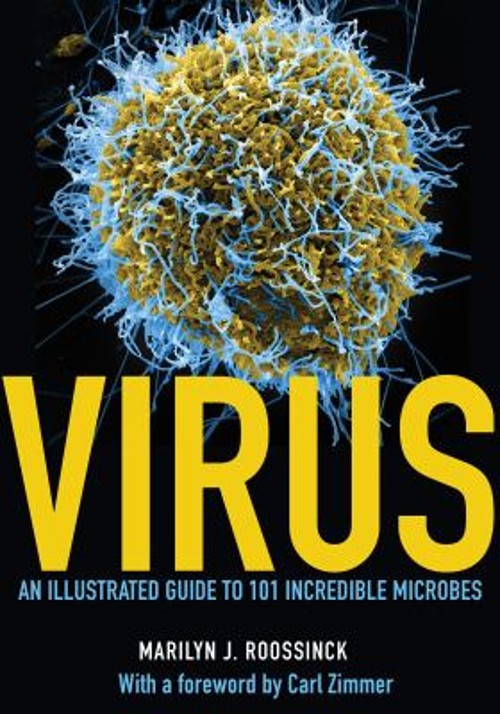 Virus : An Illustrated Guide to 101 Incredible Microbes Marilyn J