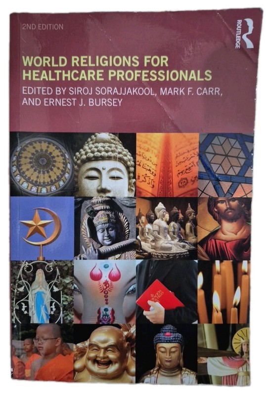 World Religions for Healthcare Professionals – Paperback – GOOD