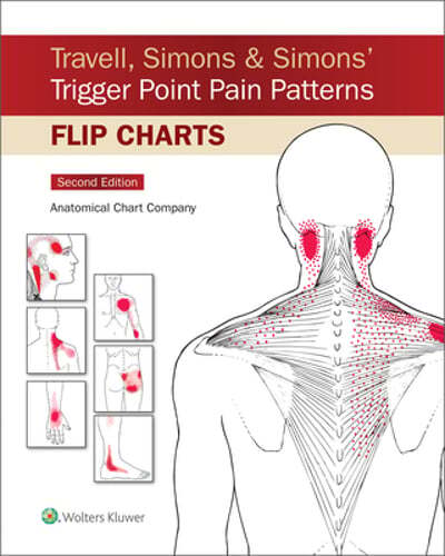 Travell, Simons & Simons’ Trigger Point Pain Patterns Flip Charts: New