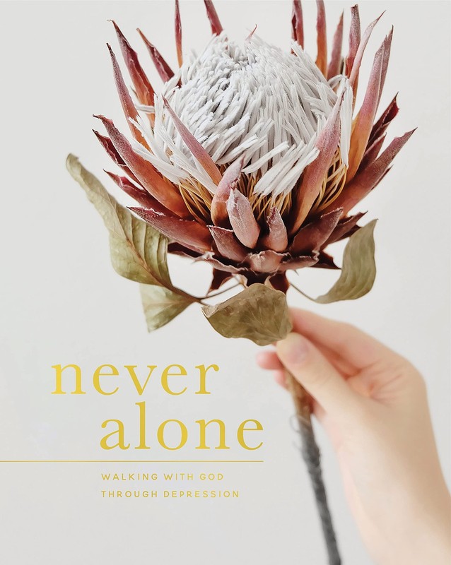 Never Alone: Walking with God Through Depression – paperback The Daily Grace…