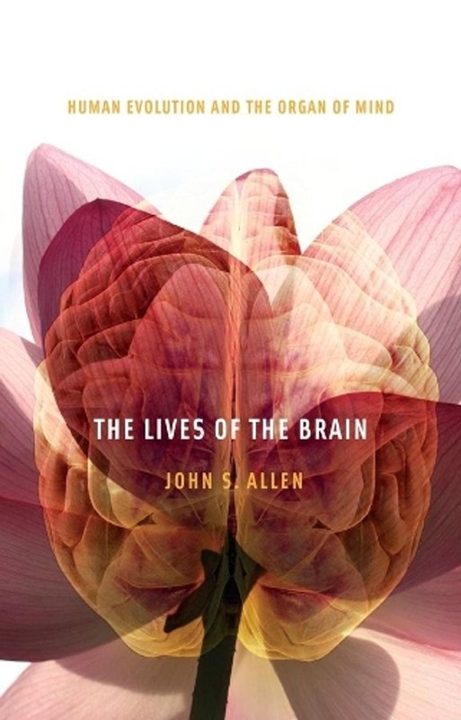 The Lives of the Brain: Human Evolution and the Organ of Mind by John S. Allen (