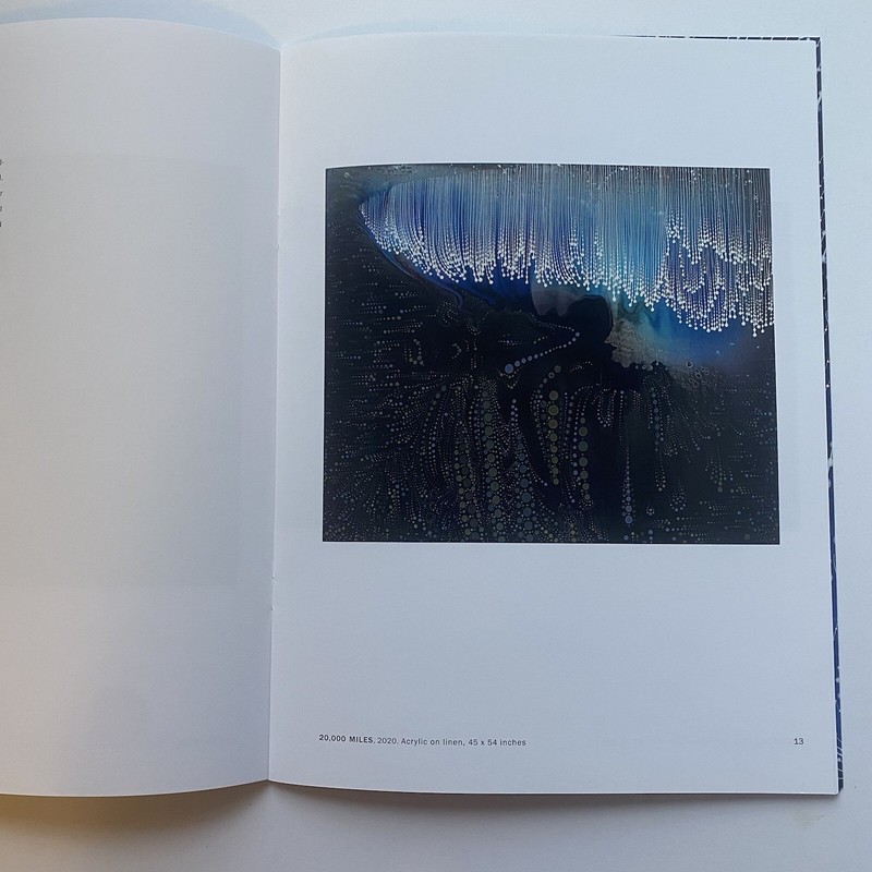 Barbara Takenaga: Shibaraku Softcover Art Catalog DC Moore Gallery 2020 gallery
