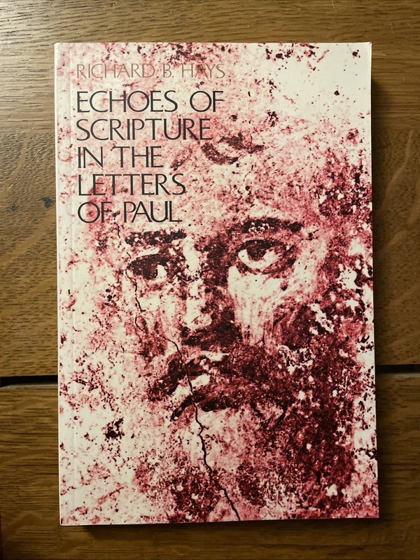Richard B Hays: Echoes Of Scripture In The Letters Of Paul Tr Pbk Yale 1989 gallery