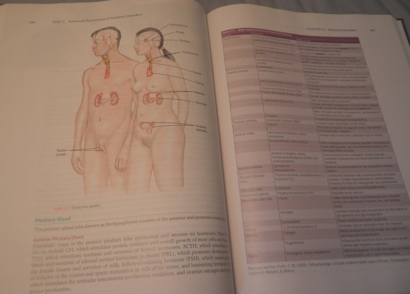 Advanced Health Assessment and Diagnostic Reasoning-Like New-HC-Free Shipping gallery