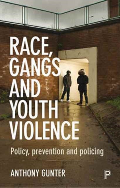 RACE GANGS & YOUTH VIOLENCE by Anthony University of East London Gunter