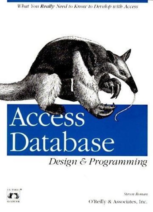 Access Database Design and Programming : What You Really Need to