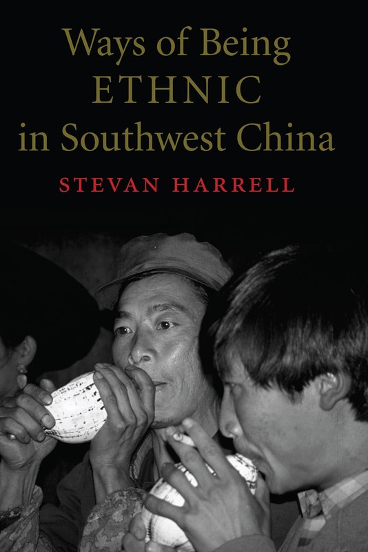 Ways of Being Ethnic in Southwest China (Studies on Ethnic Groups in China) …