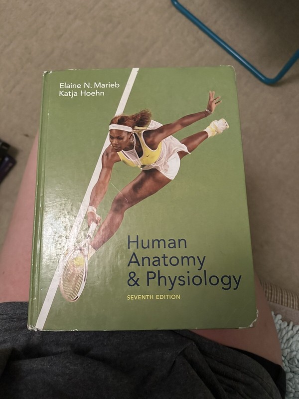 My A and P Ser.: Human Anatomy and Physiology by Katja Hoehn and Elaine N….