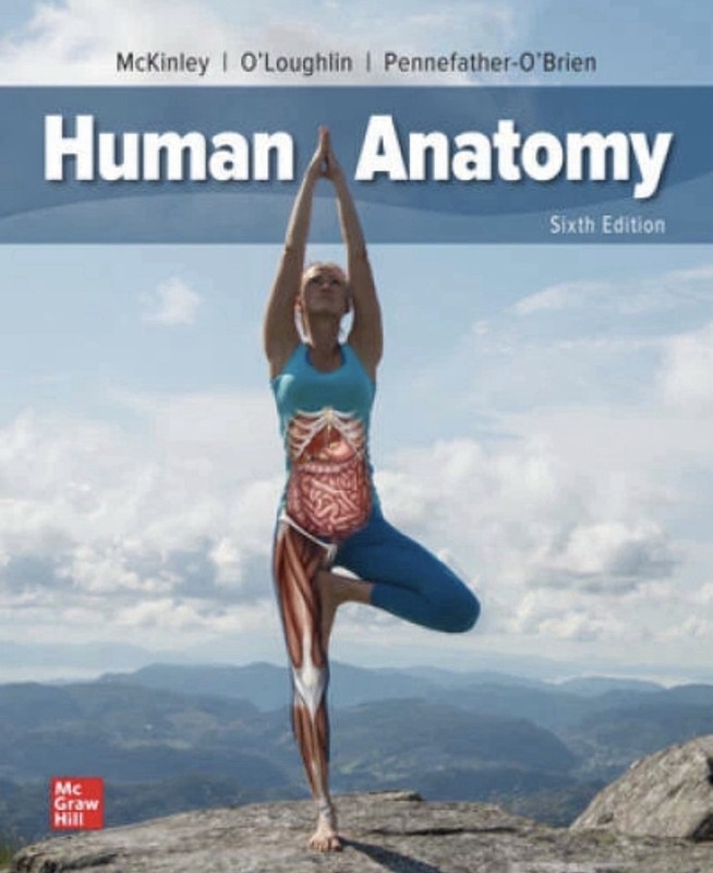 Loose Leaf for Human Anatomy by Valerie O’Loughlin, Michael McKinley, 6th Ed