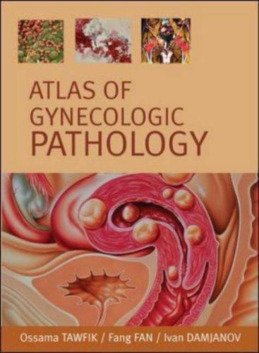 Atlas of Gynecological Pathology – Damjanov, Ivan, Fan, Fang, Tawfik, Ossama