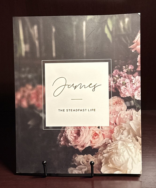 The Daily Grace Company – James – The Steadfast Life Kristn Schmucker