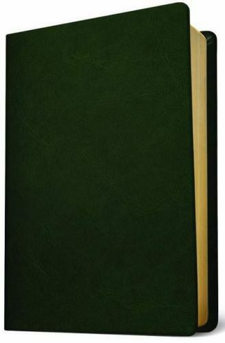Baylor Annotated Study Bible, , Good Book