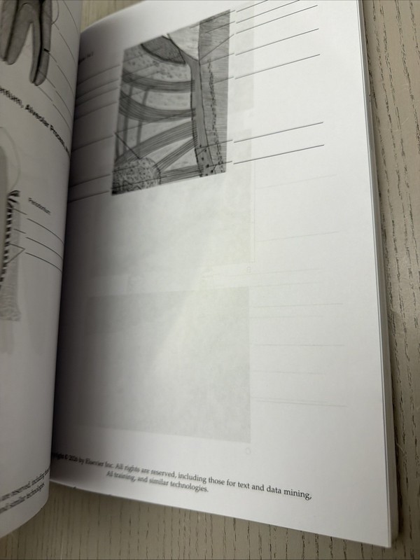 Student Workbook for Illustrated Dental Embryology, Histology and Anatomy by... gallery