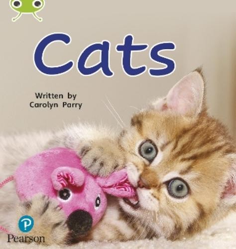 Carolyn Parry Bug Club Phonics Non-Fiction Early Years and Reception (Paperback)