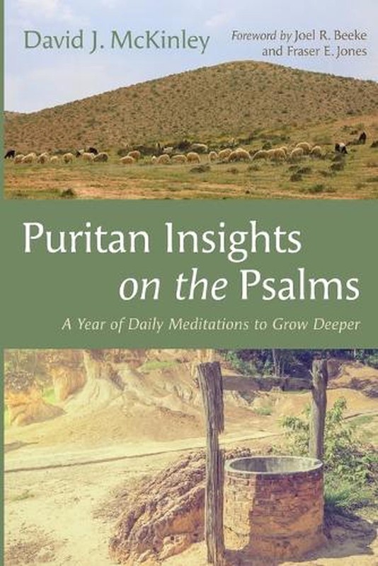 Puritan Insights on the Psalms: A Year of Daily Meditations to Grow Deeper by Da