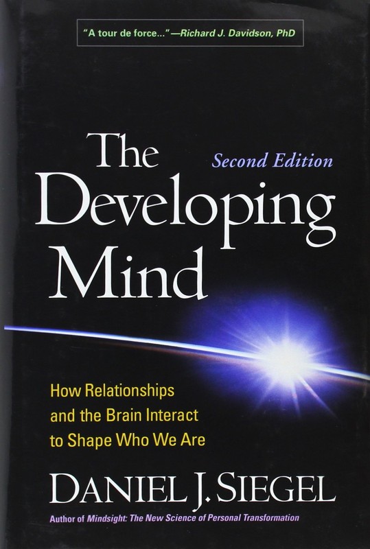 The Developing Mind, Second Edition: How Relationships and the Brain Interac…