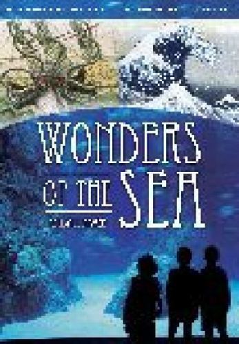 Wonders of the Sea by Haven, Kendall