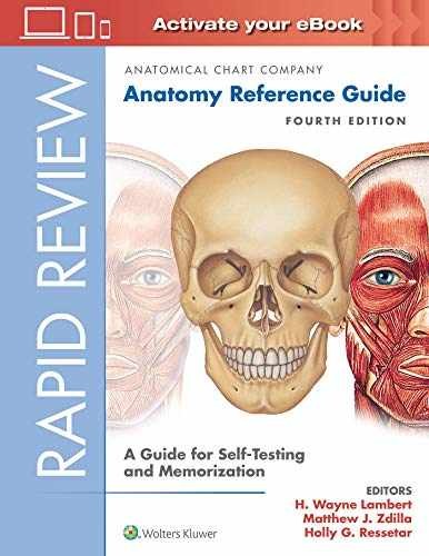 Rapid Review: Anatomy Reference – Spiral-bound, by Lambert PhD H. – Acceptable