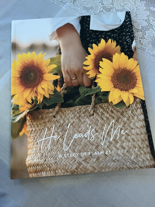 He leads Me: Study of Psalm 23 by Kristin Schumucker SC 2017 New
